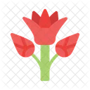 Flower Nation Plant Icon
