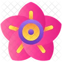 Kobai Icon