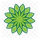 Nature Plant Blossom Icon