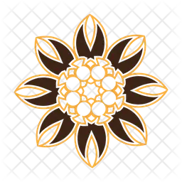 Flower  Icon