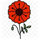 Flower Opium Poppy Icon