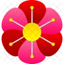 Flower Pink Flower Dianthus Icon