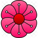 Flower Pink Flower Dianthus Icon