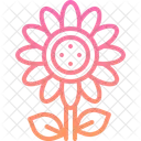 Flower Sunflower Botanical Icon