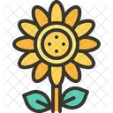 Flower Sunflower Botanical Icon