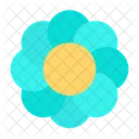 Flower Spring Nature Icon