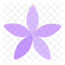 Flower Spring Nature Icon