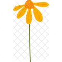 Spring Flower Blossom Icon