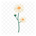 Flower Spring Bloom Icon