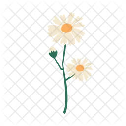 Flower  Icon