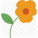 Flower Jasmine Mallow Symbol