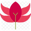 Flower Lily Lotus Icon