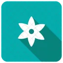 Flower Nature Growth Icon