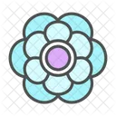 Flower Anenome Blossom Icon