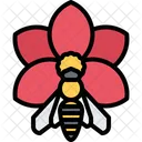 Flower Bee  Icon