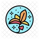 Flower Boho  Icon