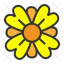 Flower Bold Fun Flower Bold Fun Icon