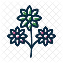 Flower Bouquet  Icon