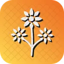 Bouquet Flower Flowers Icon