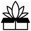 Flower box  Icon