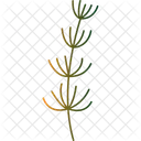 Flower Branch  Icon