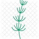 Flower Branch Floral Branch Flowering Branch Icon