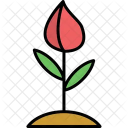 Flower bud  Icon