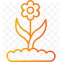 Flower Buds Floral Flower Icon