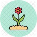 Flower Buds  Icon
