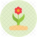 Flower Buds  Icon