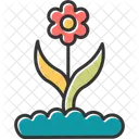 Flower Buds  Icon