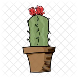 Flower Cactus  Icon