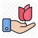 Flower Care  Icon