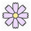 Flower Cosmos Daisy Icon