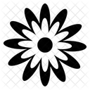 Flower Drawing Decorative Flower Flower Pattern Icon