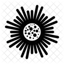 Flower Drawing Decorative Flower Flower Pattern Icon