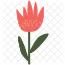 Flower Spring Floral Icon