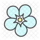 Flower Forget Me Icon