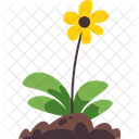 Flower Growing From The Ground  Icon