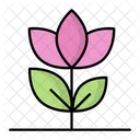 Flower Growth  Icon
