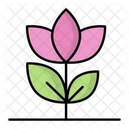 Flower Growth  Icon