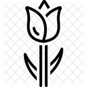 Flower  Icon