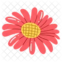 Spring Spring Nature Icon