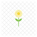 Flower  Icon