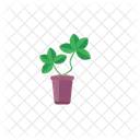 Flower Nature Plant Icon