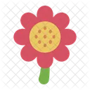 Flower Blossom Spring Icon