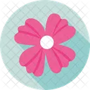 Flower  Icon