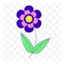Daisy Leaves Abstract Icon
