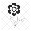 Daisy Leaves Abstract Icon