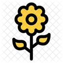 Flower  Icon